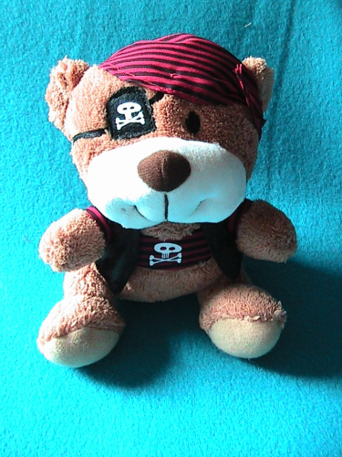 Piratenteddy, Teddy Pirat